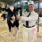 Isla shows home-bred calf at the All Breeds All Britain Calf Show 2024 Isla shows home-bred calf at the All Breeds All Britain Calf Show 2024