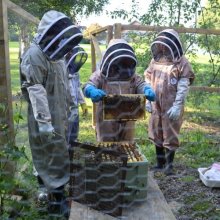 Beekeeping club were buzzing to meet their new friends! Beekeeping club were buzzing to meet their new friends!