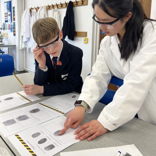 Sixth Formers invite Year 6 to a Forensic Workshop 
